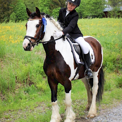 LaKu Stall, hevoset: Beafort Rubert "Ruubert"