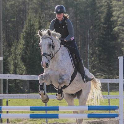 LaKu Stall, hevoset: Ceilon "Sepi"