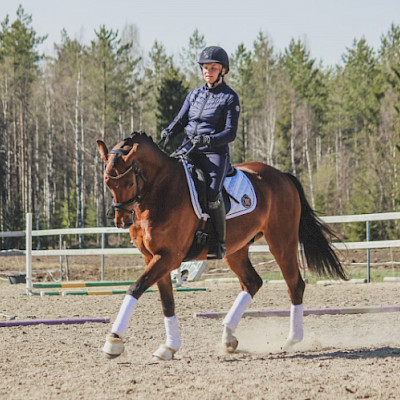 LaKu Stall, hevoset: Jackson