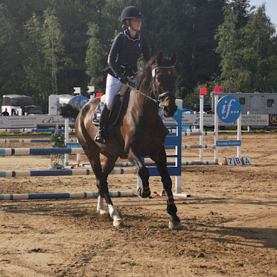 LaKu Stall, hevoset: Balans