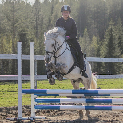 LaKu Stall, hevoset: Andu "Antti"