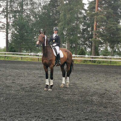 LaKu Stall, hevoset: Cristoff "Risto"